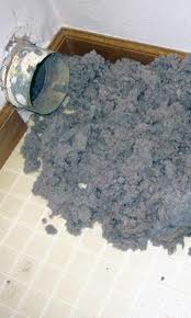 Lint